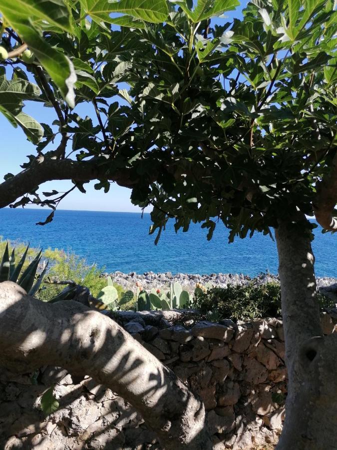 Villa Marigiosa Salento Marittima Ngoại thất bức ảnh